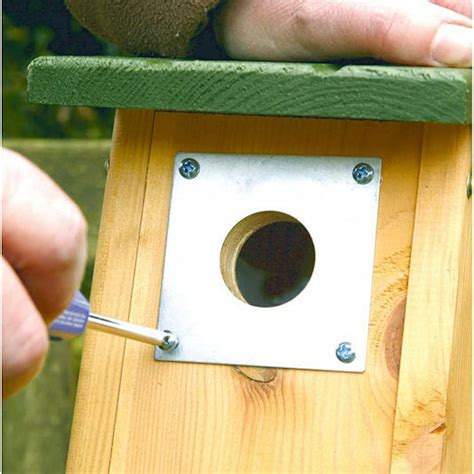 metal ring for bird box|Hole Plates .